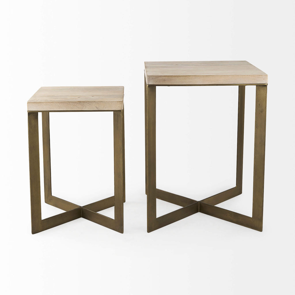 MERCANA FAYE GOLD METAL ACCENT TABLES SET OF TWO 69179