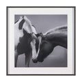 MERCANA HORSE HARMONY FRAMED ART PRINT 15765
