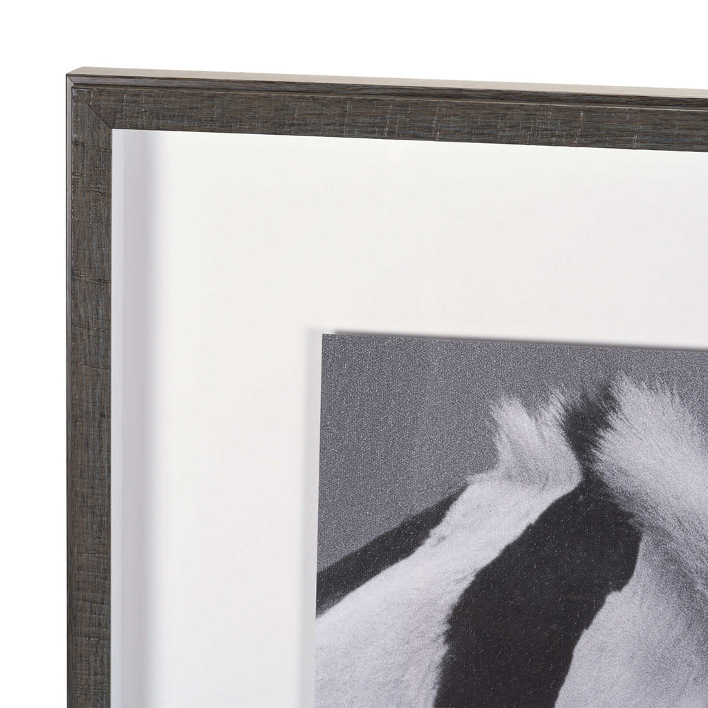 MERCANA HORSE HARMONY FRAMED ART PRINT 15765