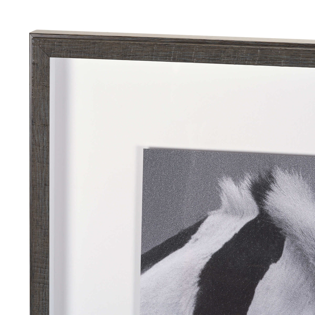 MERCANA HORSE HARMONY FRAMED ART PRINT 15765
