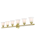 LIVEX LIGHTING  1066-02 Neptune