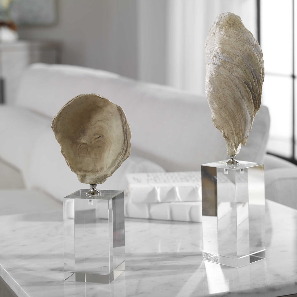 Uttermost Oyster Shell Sculptures S/2 17523