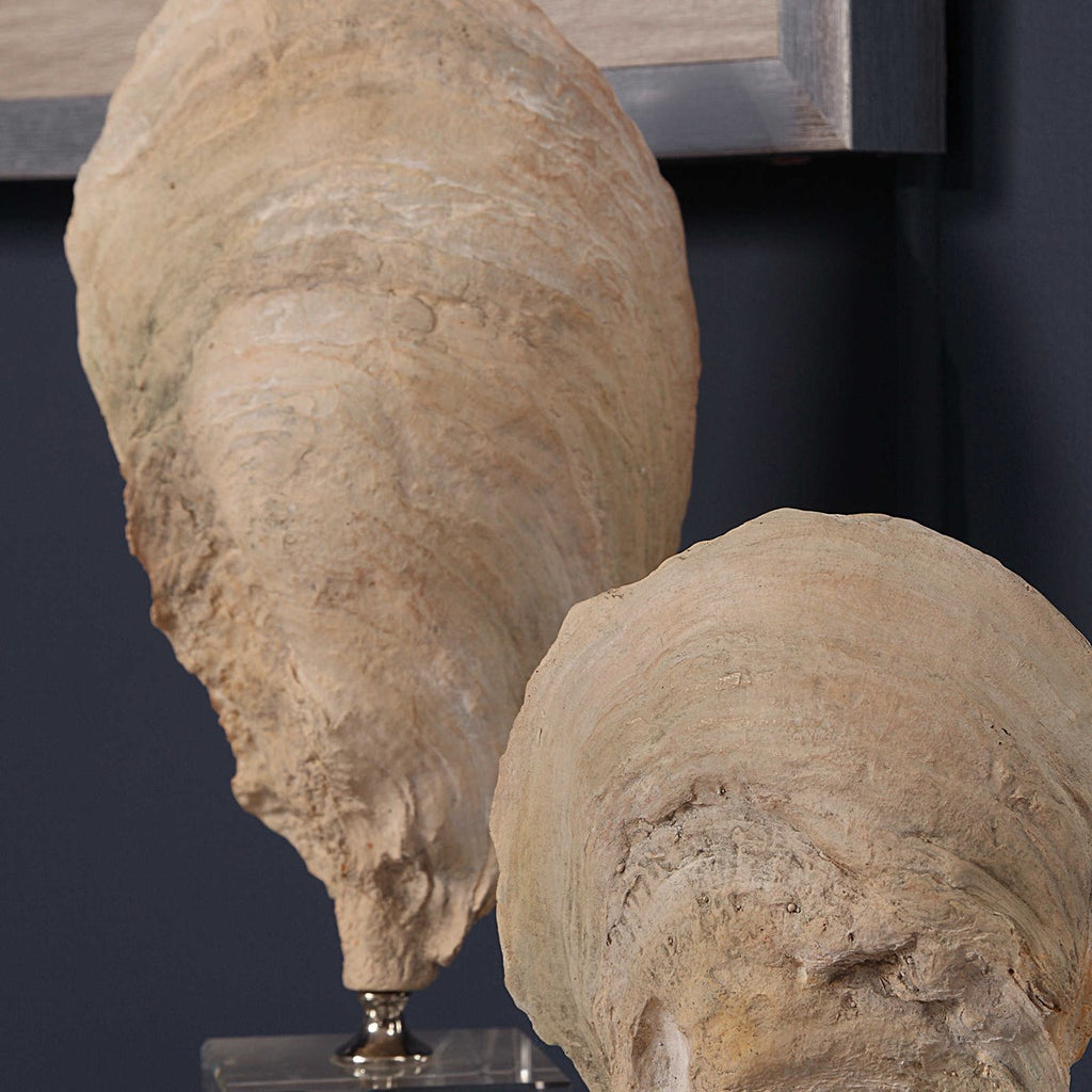 Uttermost Oyster Shell Sculptures S/2 17523