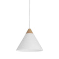 RENWIL DAYA PENDANT LPC4483