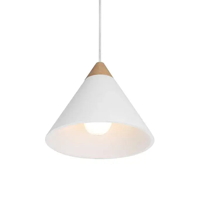 RENWIL DAYA PENDANT LPC4483