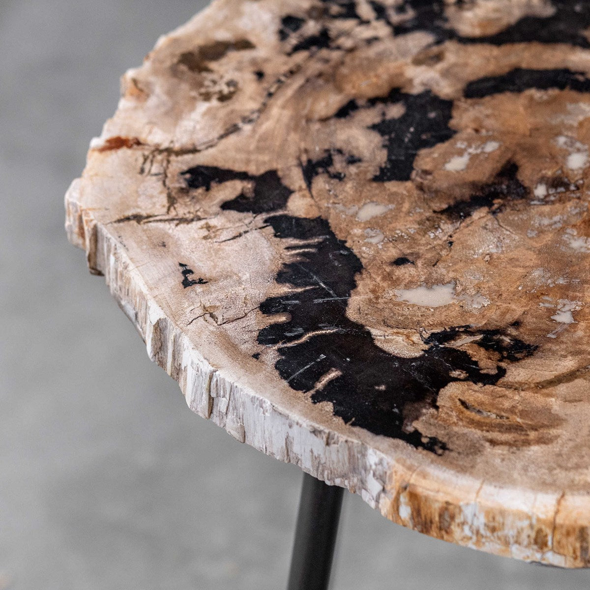 Uttermost Mircea Petrified Wood Accent Table 25461