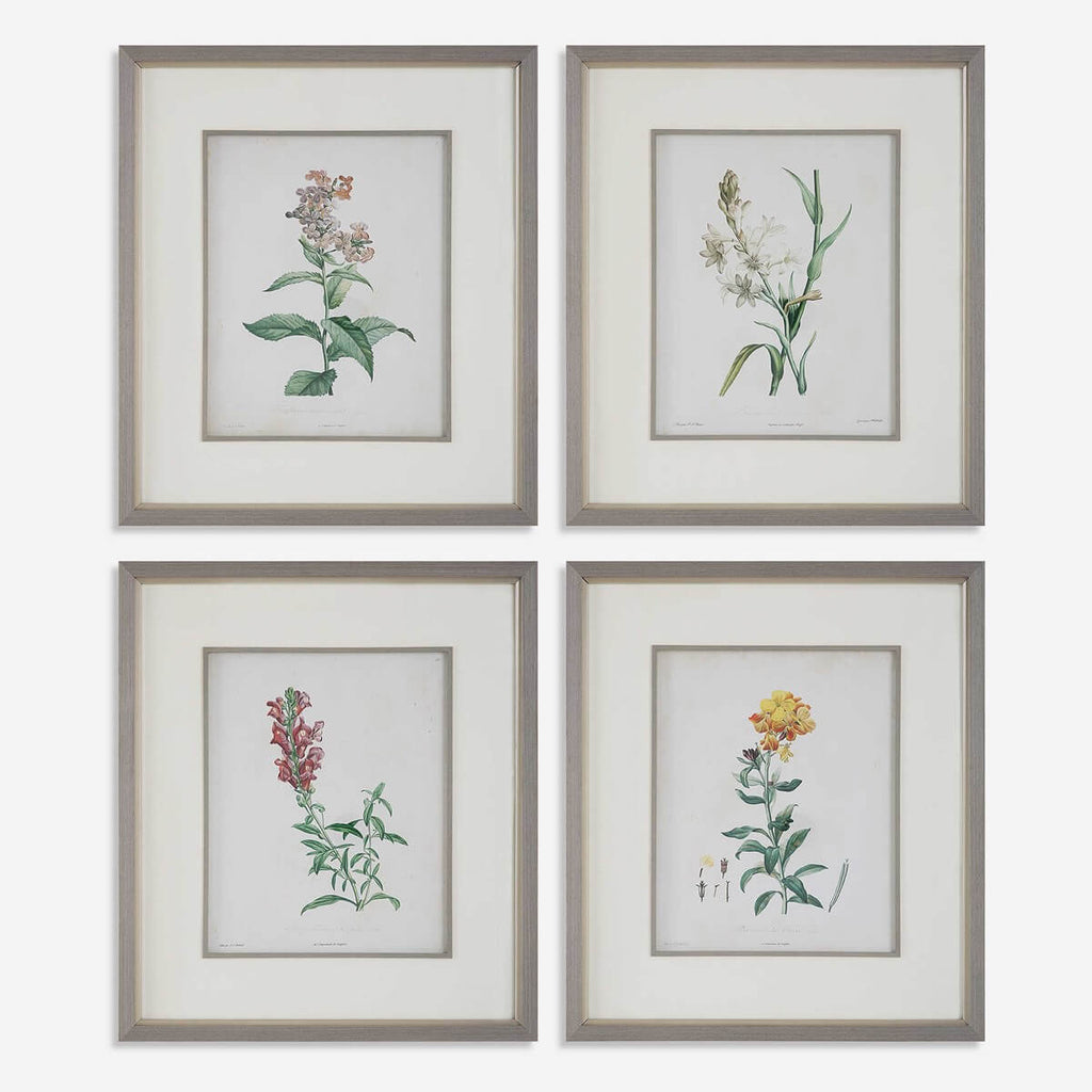 UTTERMOST HEIRLOOM BLOOMS STUDY FRAMED PRINTS 32285