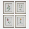 UTTERMOST HEIRLOOM BLOOMS STUDY FRAMED PRINTS 32285