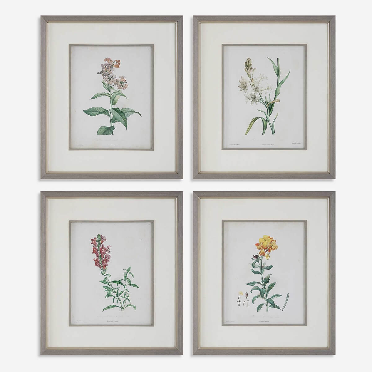 UTTERMOST HEIRLOOM BLOOMS STUDY FRAMED PRINTS 32285