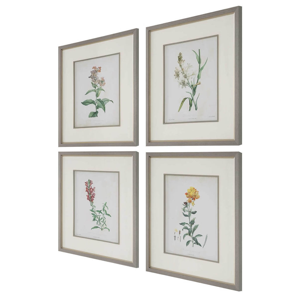 UTTERMOST HEIRLOOM BLOOMS STUDY FRAMED PRINTS 32285