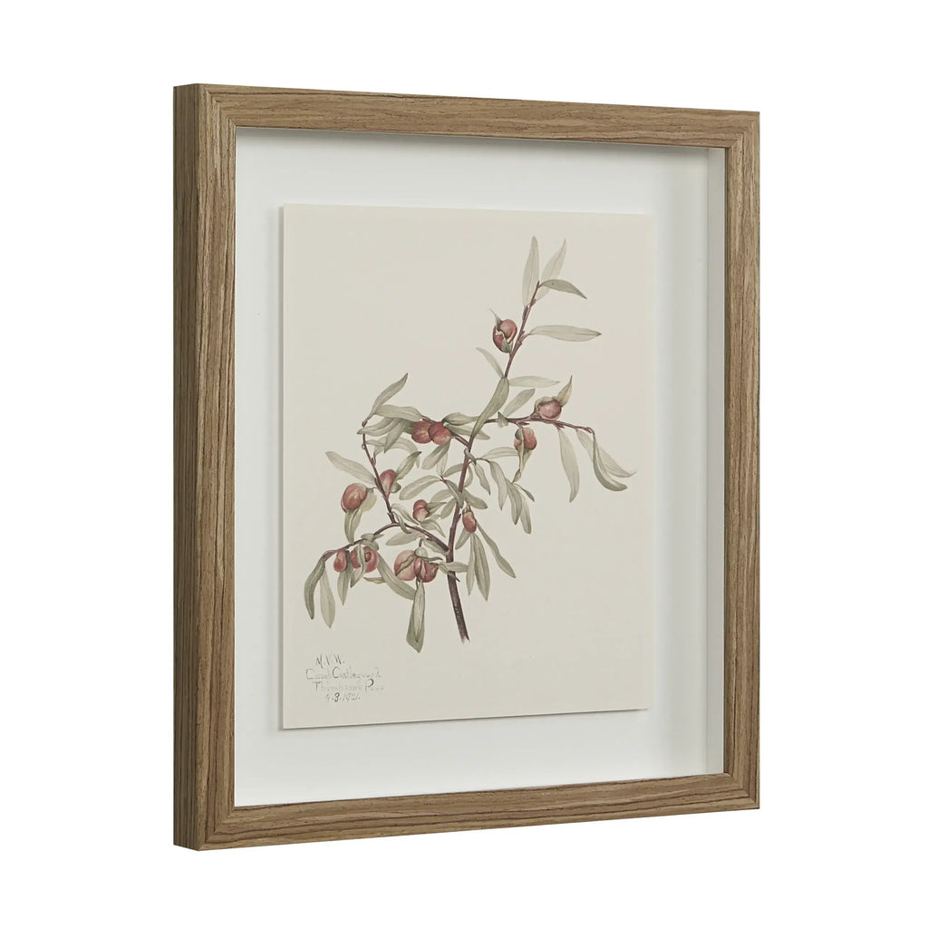 RENWIL CREMA SET OF NINE PA0043