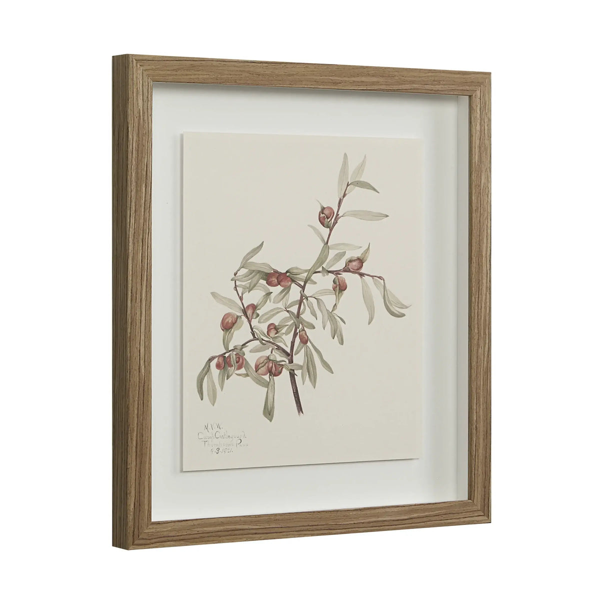 RENWIL CREMA SET OF NINE PA0043