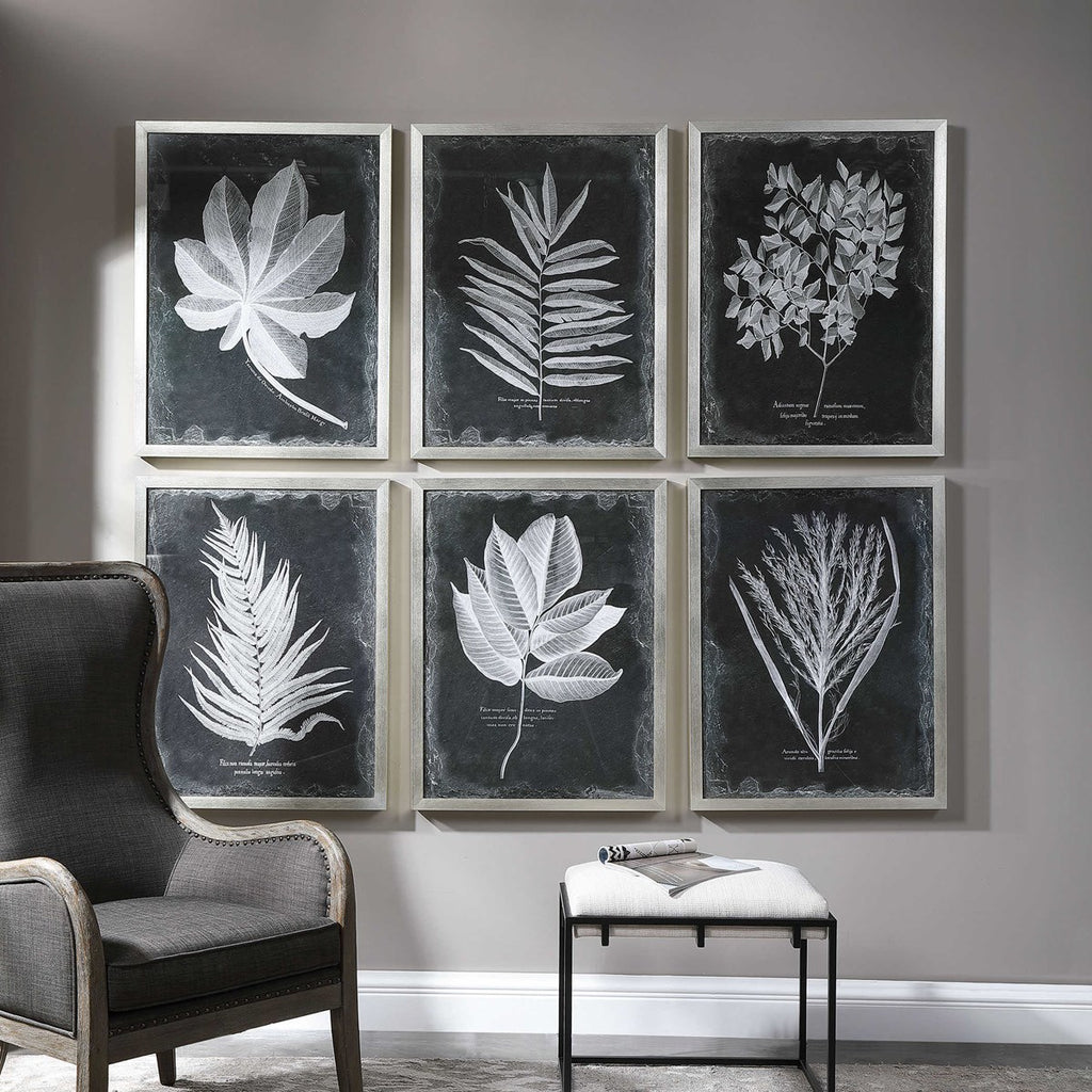 Uttermost Foliage Framed Prints S/6 33671