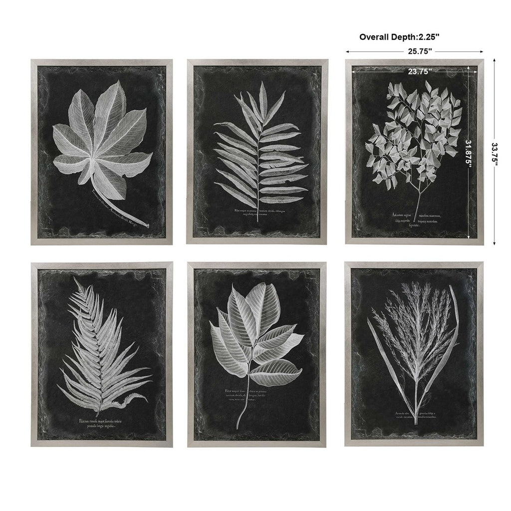 Uttermost Foliage Framed Prints S/6 33671