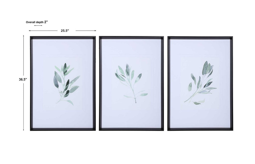 Uttermost Simple Sage Watercolor Prints S/3 33723