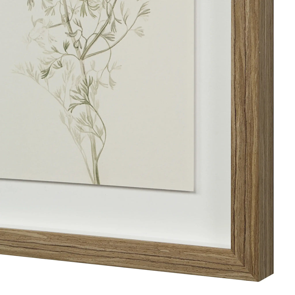 RENWIL CREMA SET OF NINE PA0043