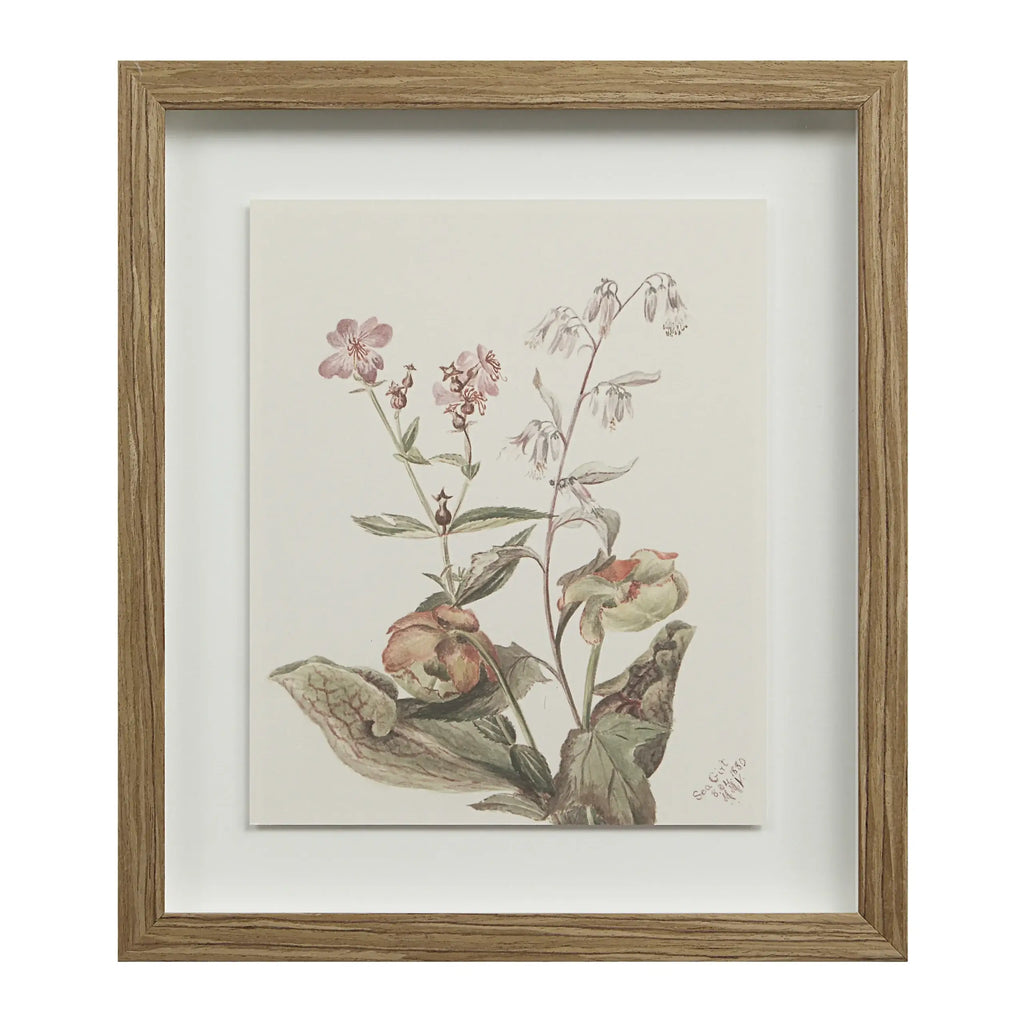 RENWIL CREMA SET OF NINE PA0043