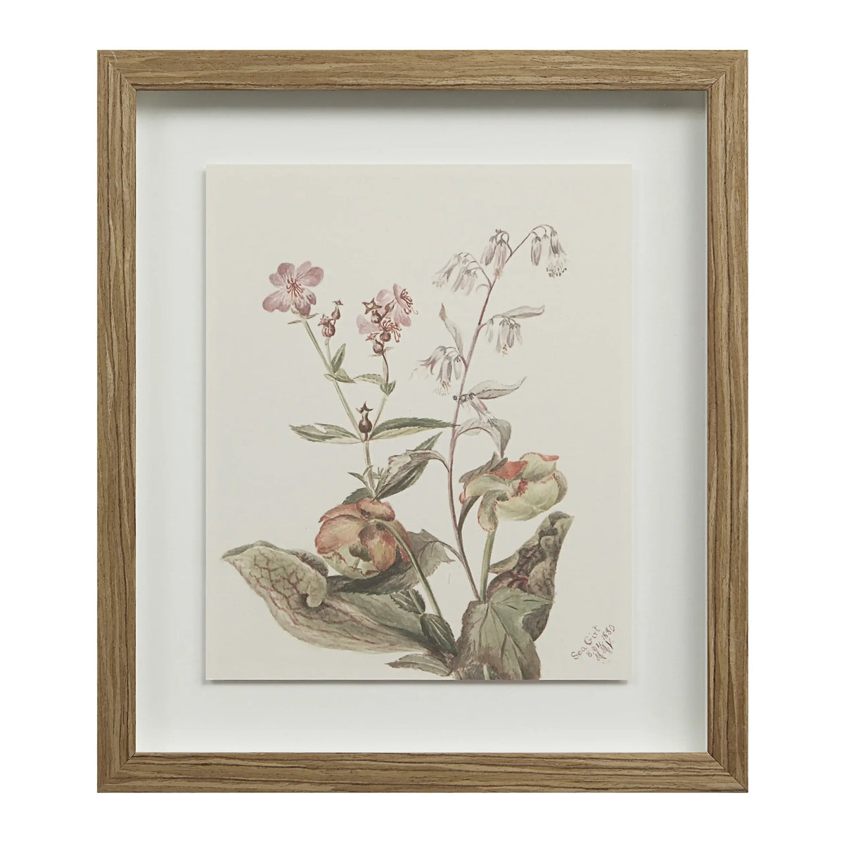 RENWIL CREMA SET OF NINE PA0043