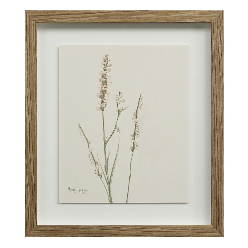 RENWIL CREMA SET OF NINE PA0043