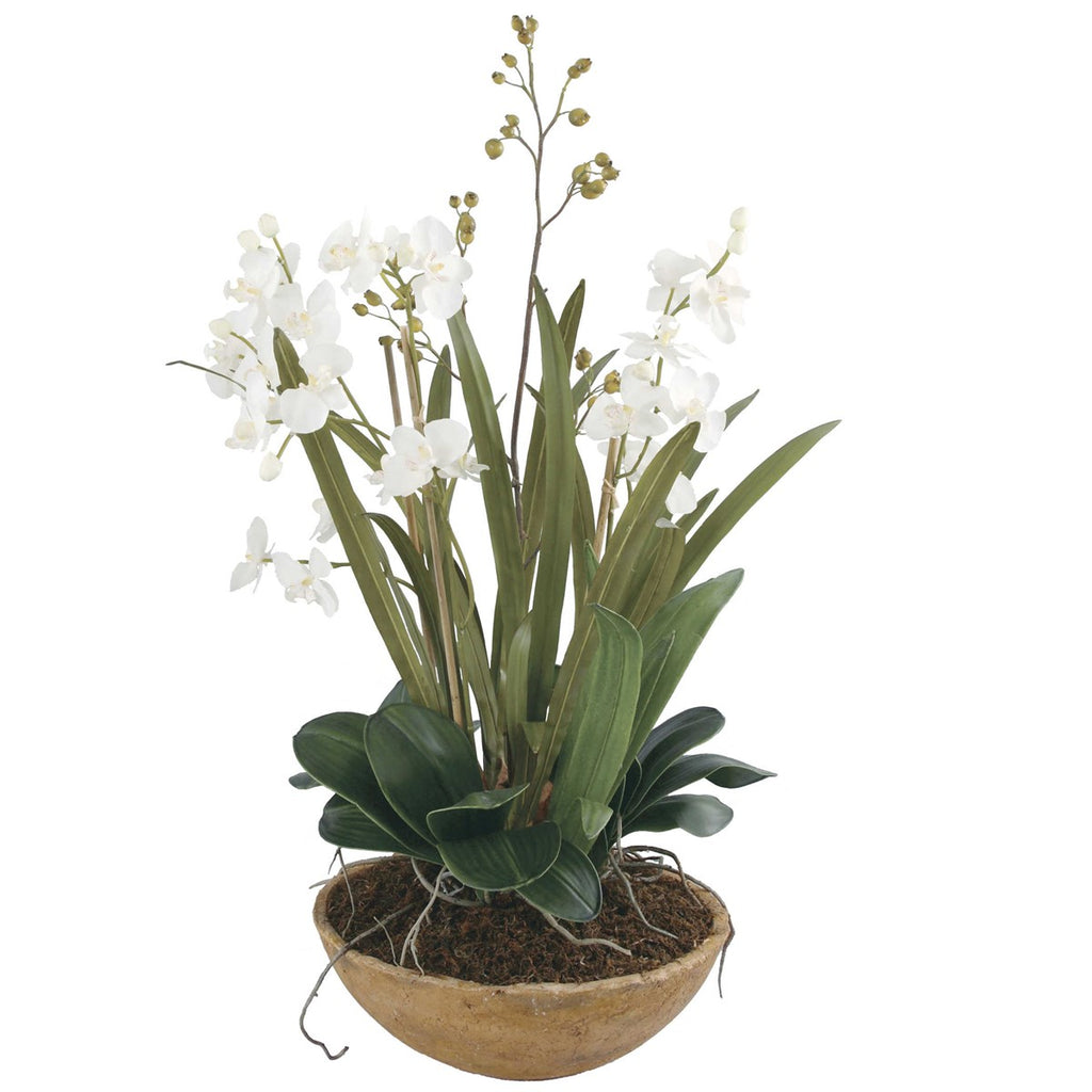 Uttermost Moth Orchid Planter 60039