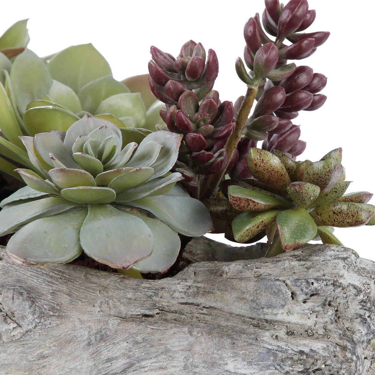 Uttermost Charita Lush Succulents 60174