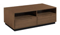 HAMMARY GIBBS RECTANGULAR DRAWER COFFEE TABLE 253-910