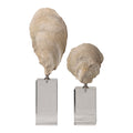 Uttermost Oyster Shell Sculptures S/2 17523