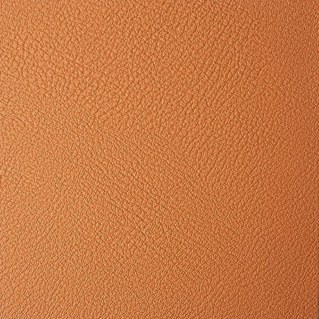 FURNISHINGS' MATE CELINE CHAIR APRICOT SET OF TWO DC 405-APR-MB