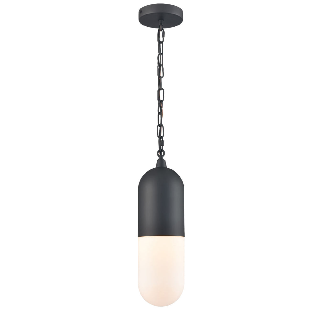 DVI LIGHTING CAPSULE OUTDOOR PENDANT DVP13775BK-OP