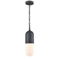 DVI LIGHTING CAPSULE OUTDOOR PENDANT DVP13775BK-OP