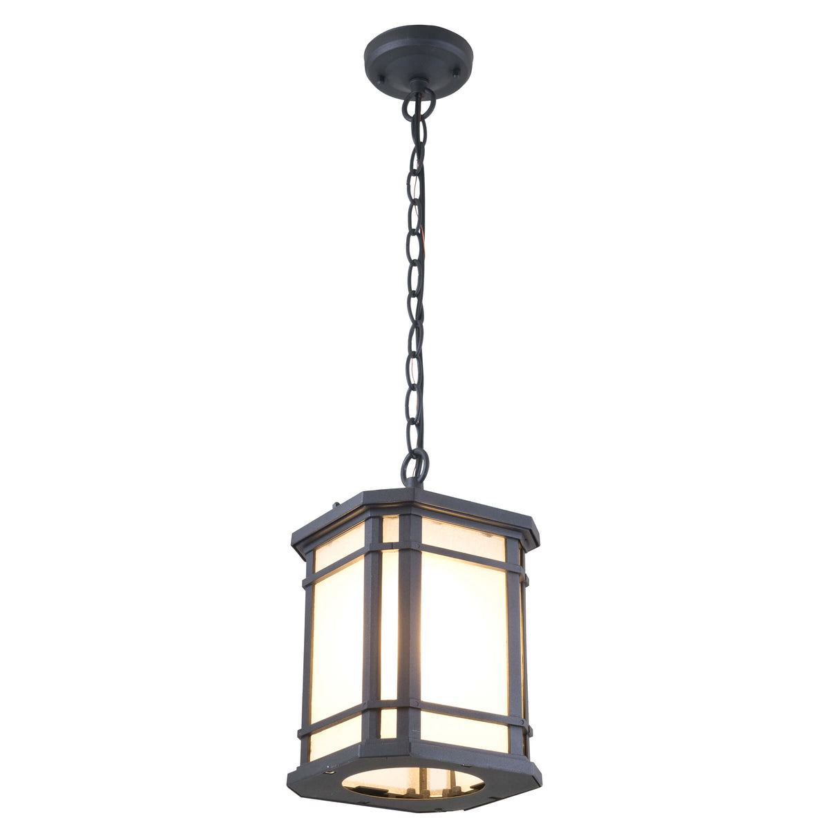 DVI LIGHTING CARDIFF OUTDOOR HANGING LIGHT DVP142015BK-SSD