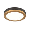 DVI LIGHTING TEMAGAMI FLUSH MOUNT BRASS LED DVP39328BR+GR