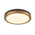 DVI LIGHTING TEMAGAMI 12" FLUSH MOUNT BRASS LED DVP39342BR+GR