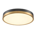DVI LIGHTING TEMAGAMI 19.75" FLUSH MOUNT BRASS LED DVP39362BR+GR