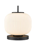 DVI LIGHTING MOUNT PEARL TABLE LAMP GRAPHITE DVP40017GR-RIO