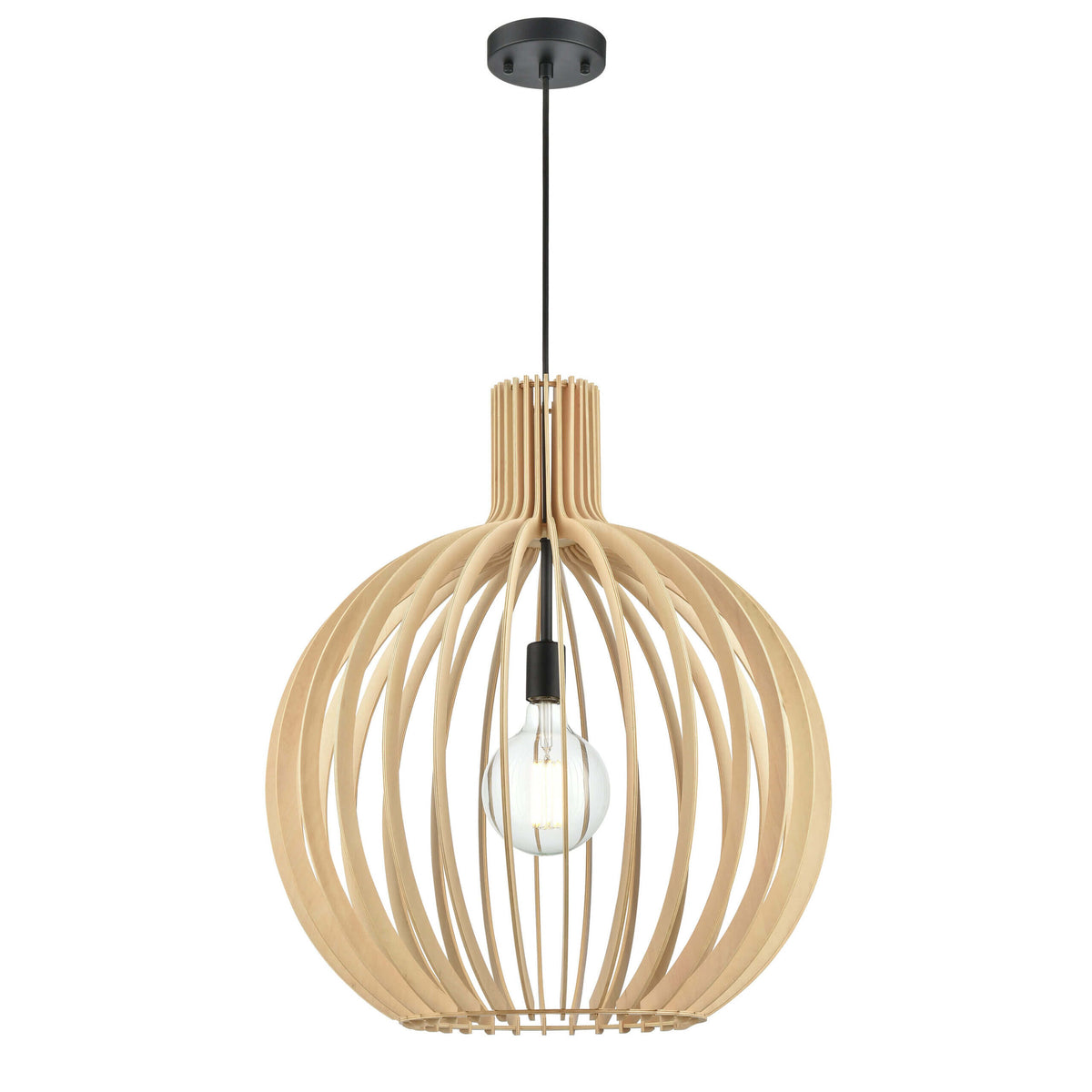 DVI LIGHTING NAHANNI PARK 22" PENDANT DVP42610BK-NW