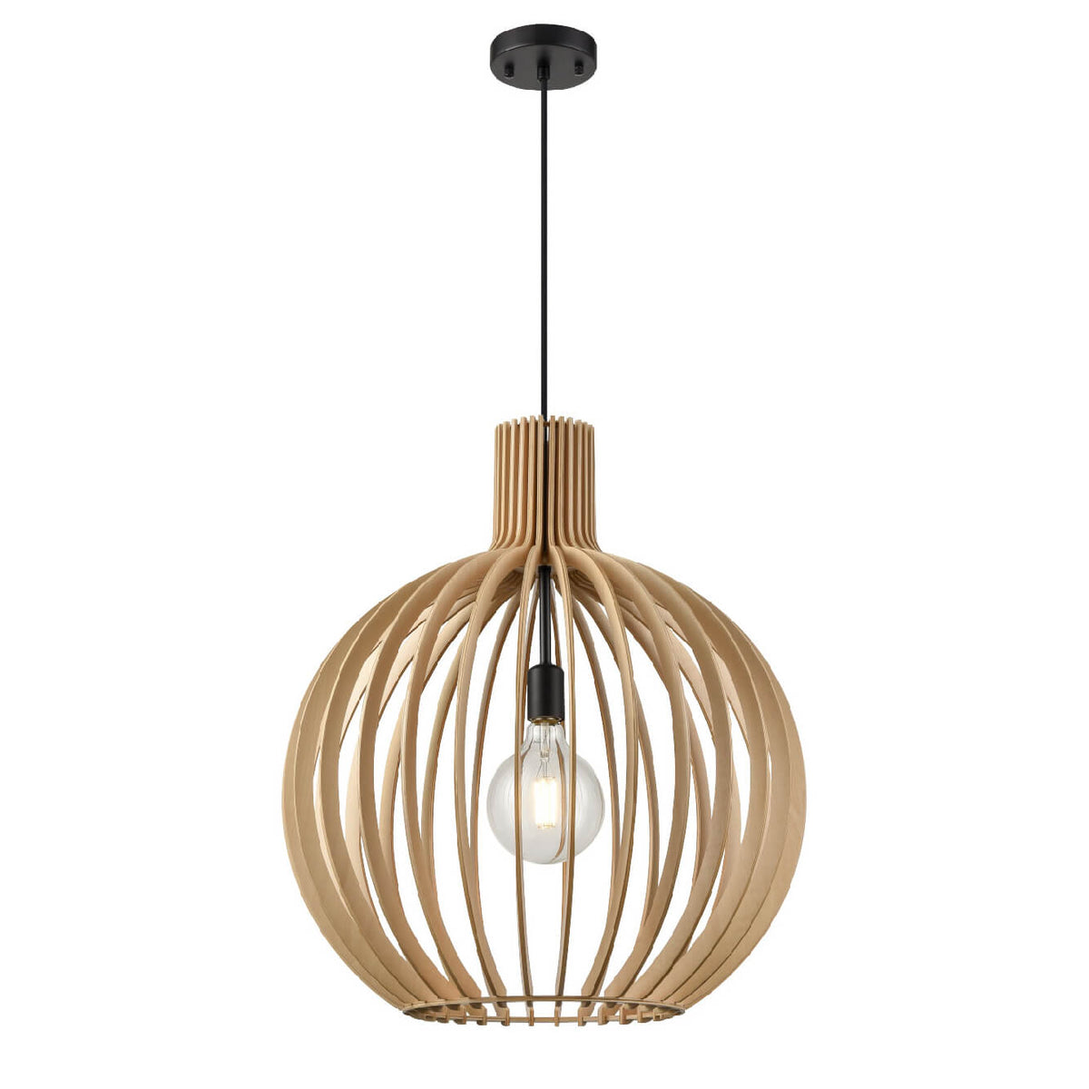 DVI LIGHTING NAHANNI PARK 14" PENDANT DVP42621BK-NW
