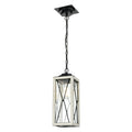 DVI LIGHTING COUNTRY FAIR PENDANT BIRCHWOOD DVP43375BK+BIW-CL