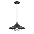 DVI LIGHTING SOMERSET OUTDOOR 12" PENDANT DVP45920BK
