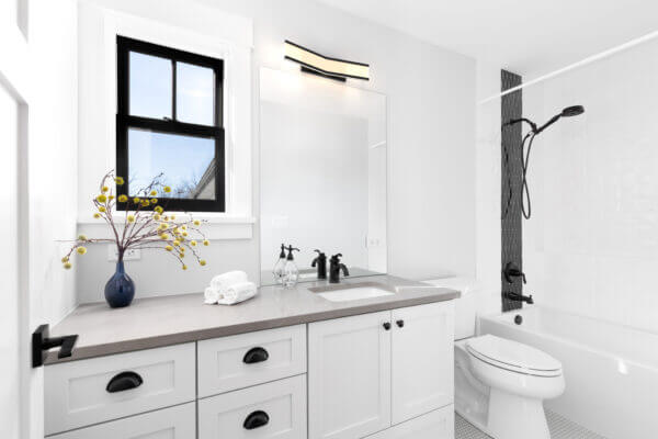 DVI LIGHTING KALLIOPE LED 22" VANITY EBONY DVP46243EB-CCT