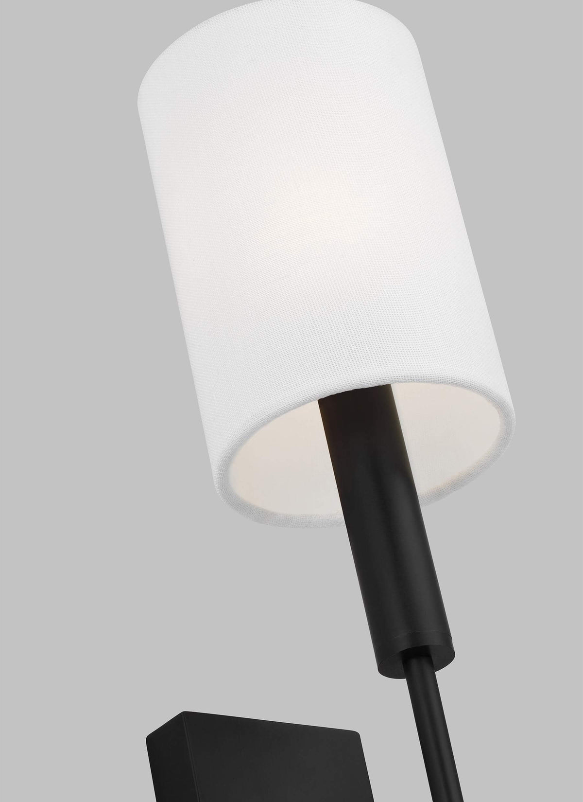 GENERATION LIGHTING  Brianna Tail Sconce Aged Iron EW1161AI
