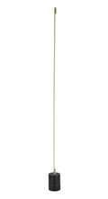 Bethel Internatioanl FT82F60BR LED Floor Lamp