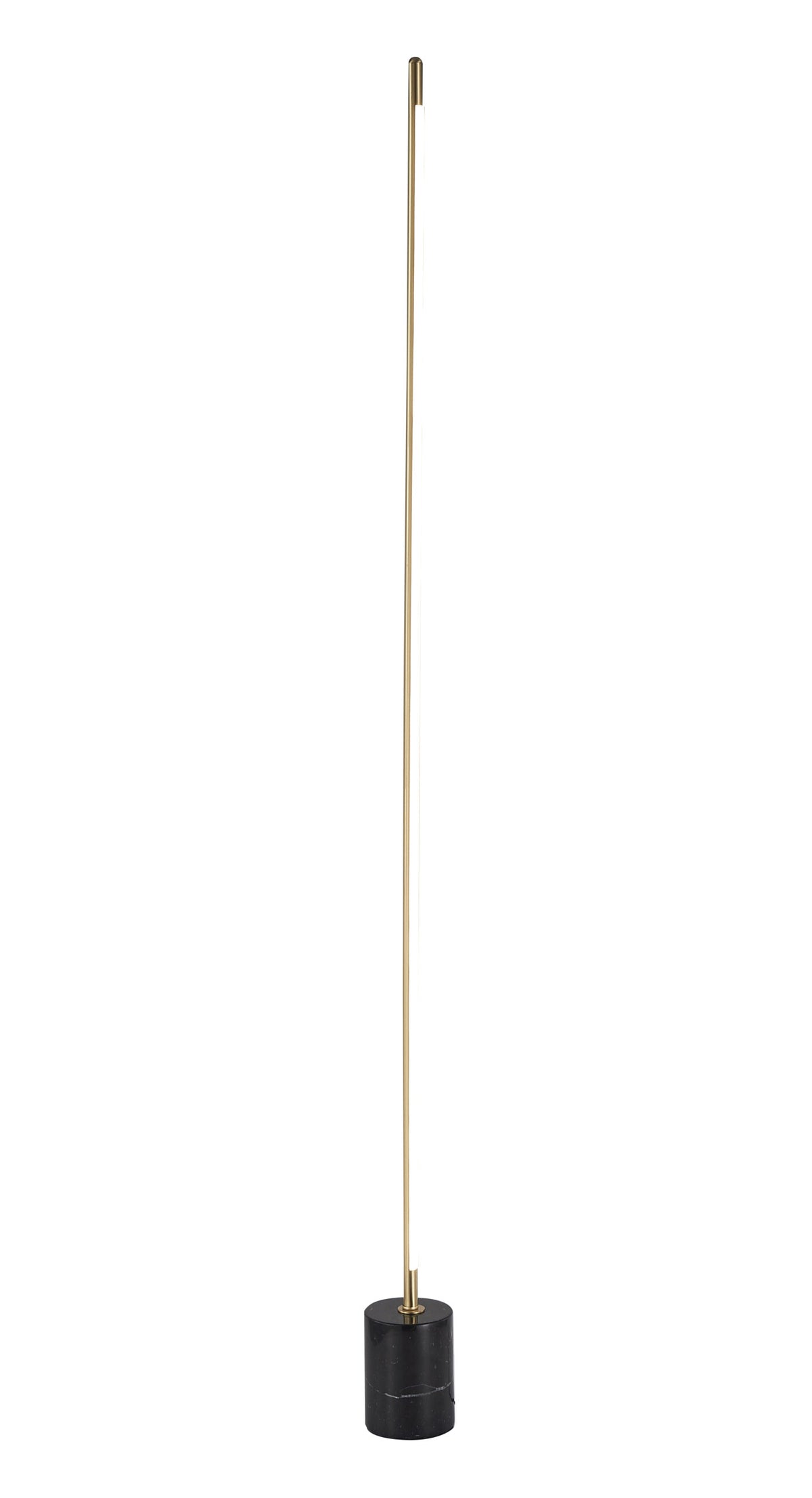 Bethel Internatioanl FT82F60BR LED Floor Lamp