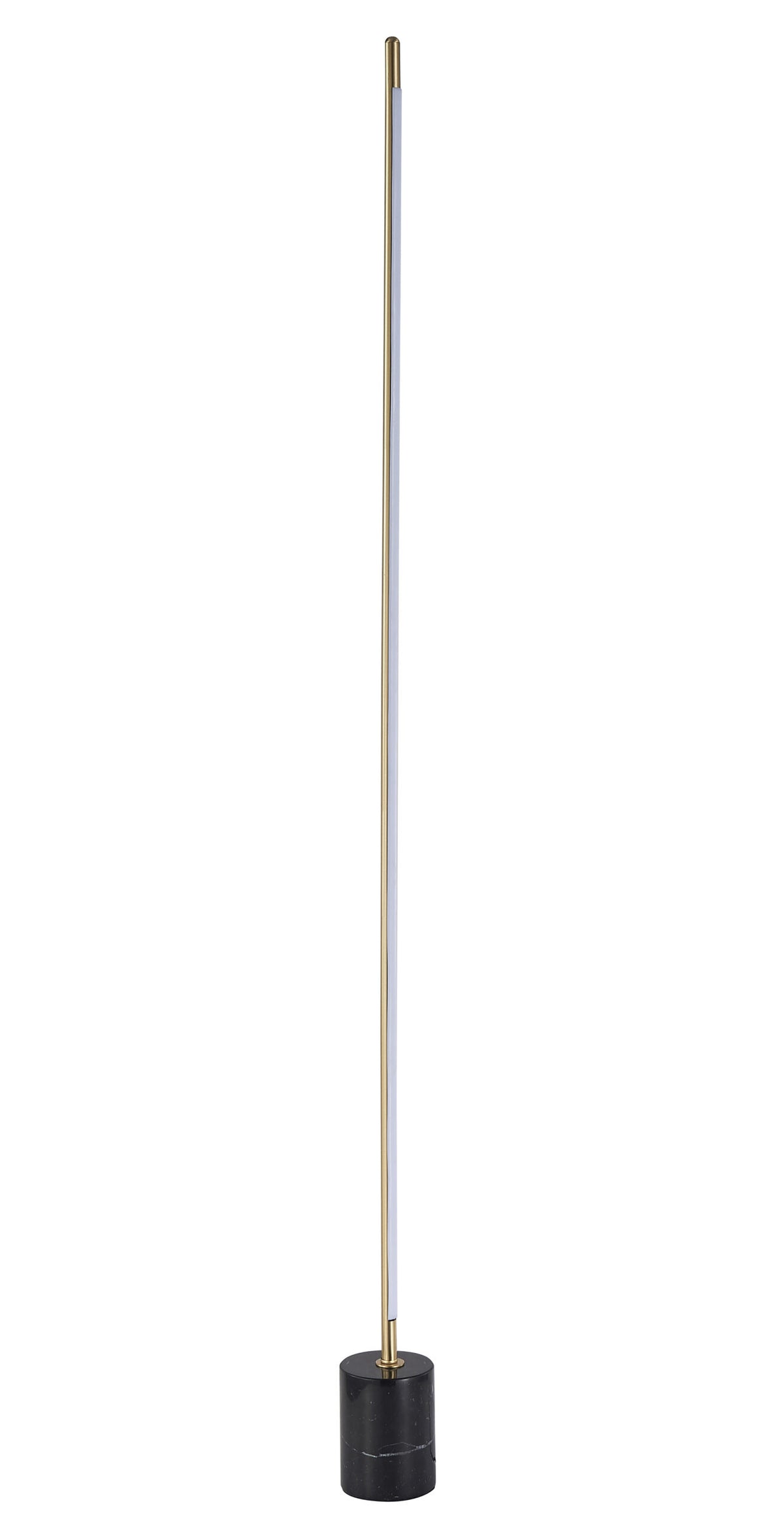 Bethel Internatioanl FT82F60BR LED Floor Lamp