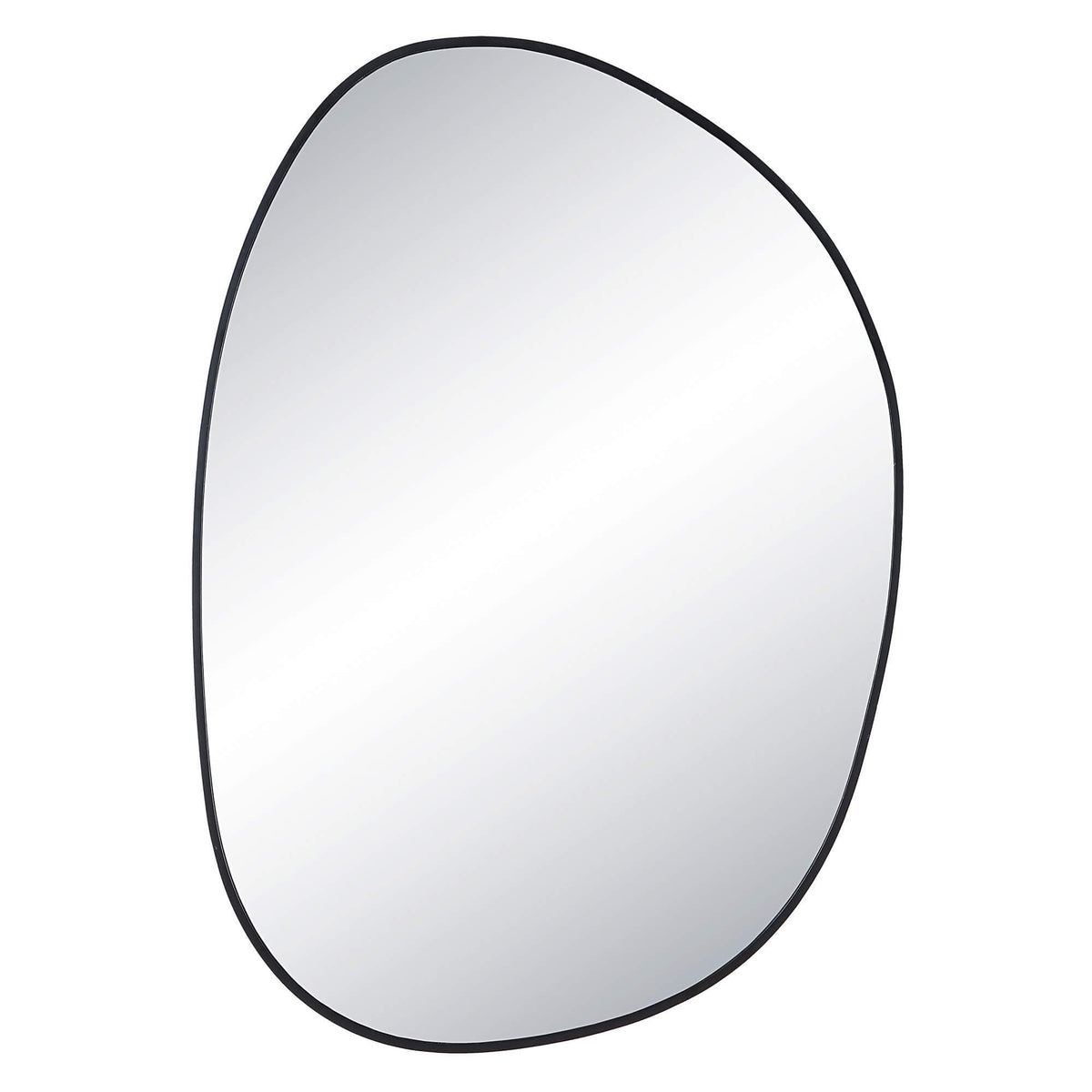 RENWIL  BOZEMAN MIRROR  MT2564