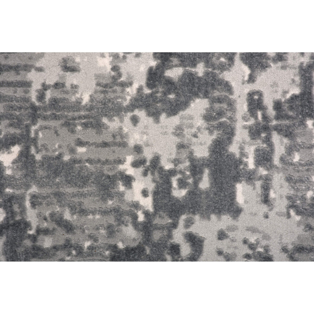 RENWIL ARIELLA 7'10 X 10'2 RUG RARI-17276-810
