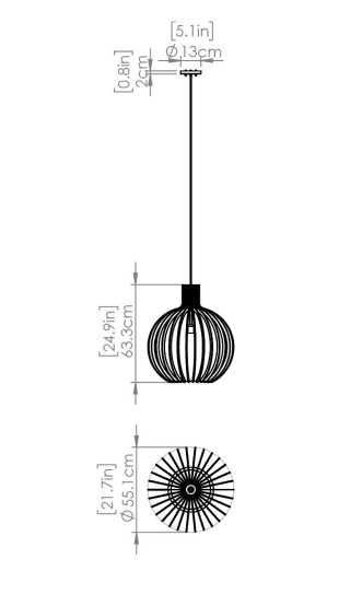 DVI LIGHTING NAHANNI PARK 22" PENDANT DVP42610BK-NW