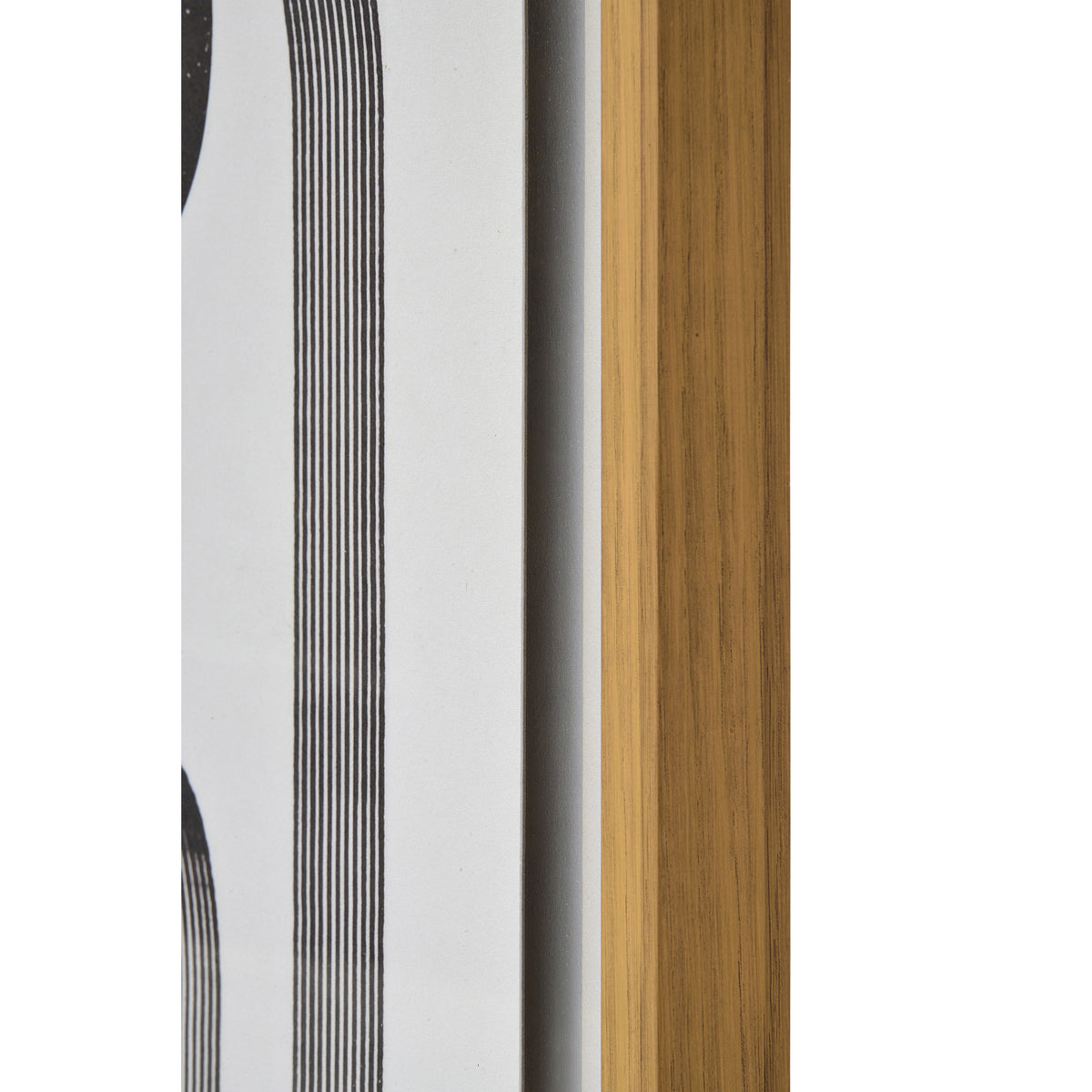 RENWIL ARLO W6685