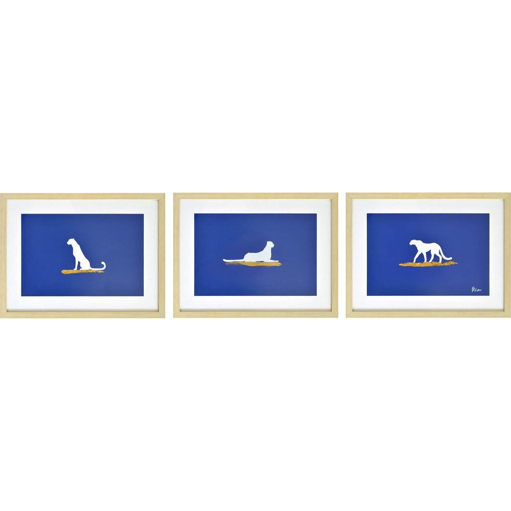 RENWIL MAKALU W6713 SET OF THREE
