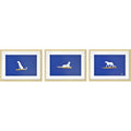RENWIL MAKALU W6713 SET OF THREE